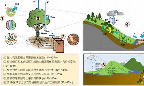 植物能不能自己生产对付昆虫的化学武器_http://www.zhaochafa.com_林园自然_第1张