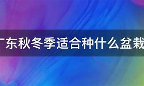 广东秋冬季适合种哪些盆栽花_http://www.zhaochafa.com_林园自然_第1张