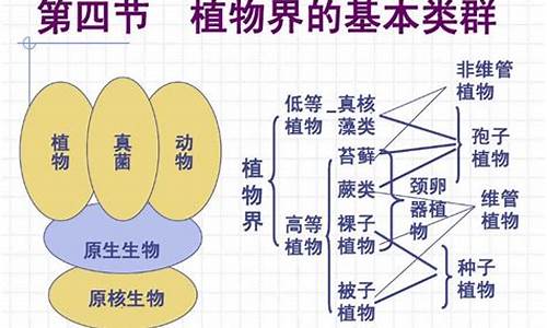 低等植物和高等植物的区别介绍_http://www.zhaochafa.com_生活日常_第1张