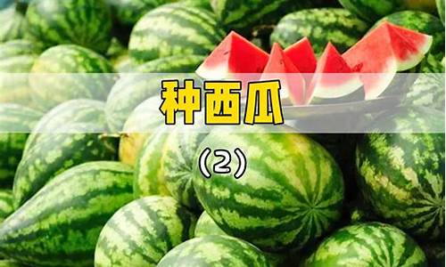 八月份能不能种西瓜_http://www.zhaochafa.com_林园自然_第1张