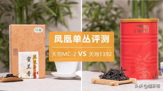 单丛蜜兰香哪个品牌好_http://www.zhaochafa.com_信息发布_第1张