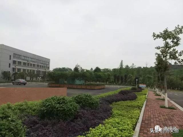 最好的五所二本大学_http://www.zhaochafa.com_信息发布_第1张