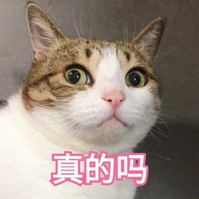 有灵性的猫有多可怕_http://www.zhaochafa.com_信息发布_第1张