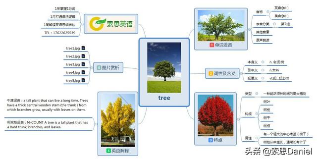 英语树的单词是什么_http://www.zhaochafa.com_信息发布_第1张
