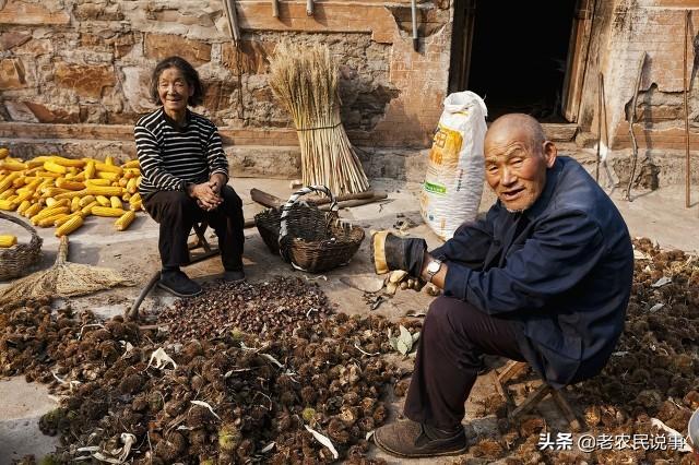 不听老人言吃亏在眼前的民间老话_http://www.zhaochafa.com_信息发布_第1张