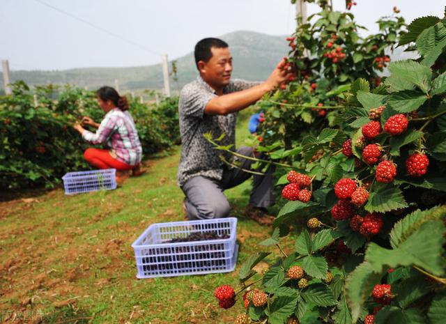 大难临头各自飞形容什么_http://www.zhaochafa.com_信息发布_第1张