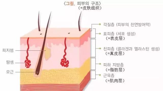 体重不变体脂率下降对比图_http://www.zhaochafa.com_信息发布_第1张