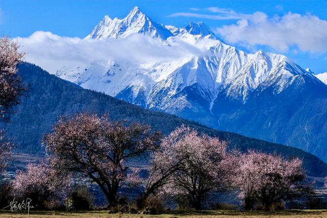 林芝自驾旅游攻略_http://www.zhaochafa.com_信息发布_第1张