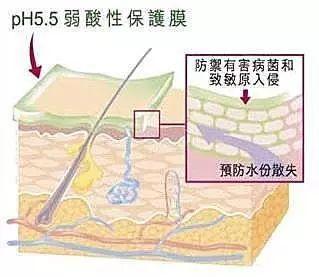 酸性洗发水和碱性洗发水哪个好_http://www.zhaochafa.com_信息发布_第1张