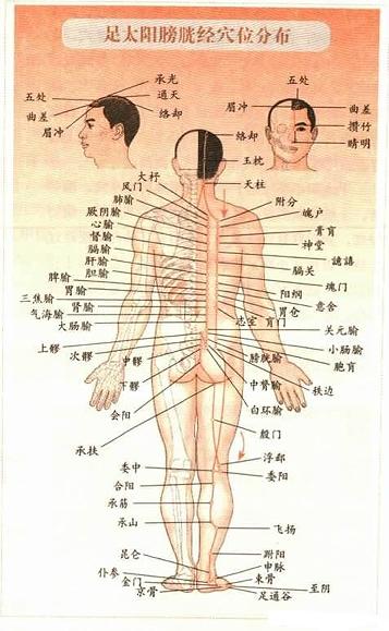 经外奇穴23个常用穴位_http://www.zhaochafa.com_信息发布_第1张