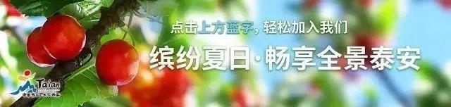 泰安正在规划的大学_http://www.zhaochafa.com_信息发布_第1张