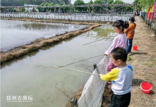 株洲旅游推荐_http://www.zhaochafa.com_信息发布_第1张