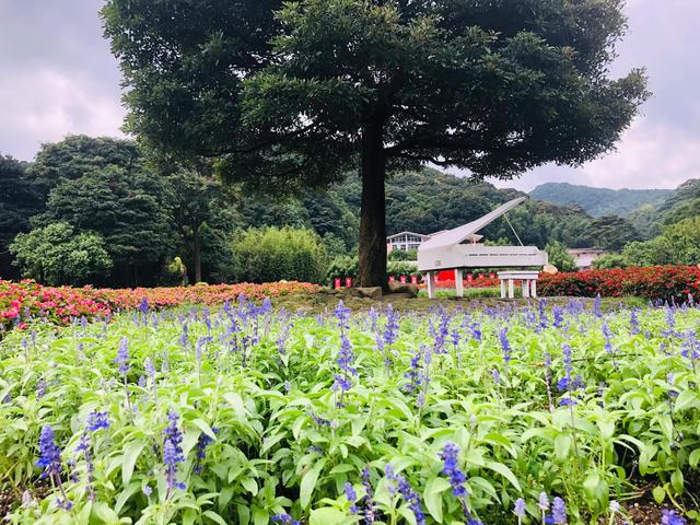 从化石门山国家森林公园攻略_http://www.zhaochafa.com_信息发布_第1张