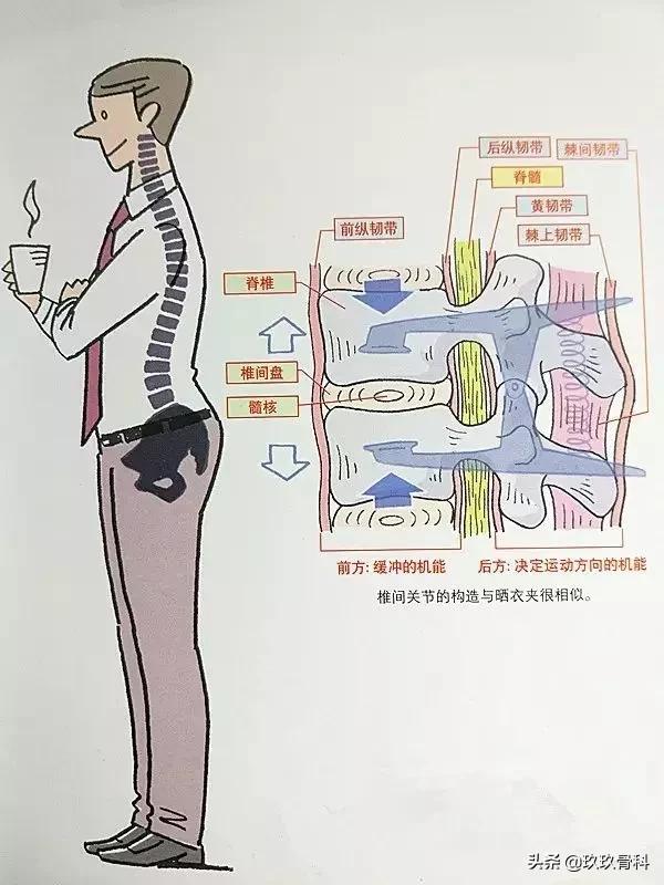 腰椎间盘突出锻炼八种方法_http://www.zhaochafa.com_信息发布_第1张