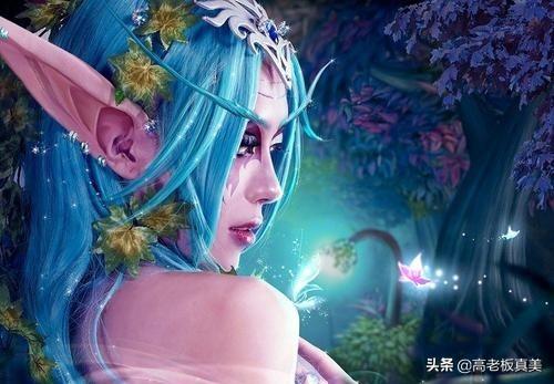 魔兽世界暗夜精灵猎人攻略_http://www.zhaochafa.com_信息发布_第1张