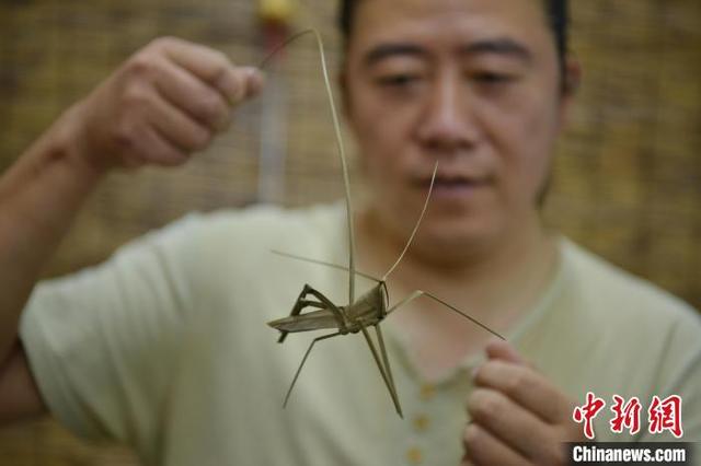 民间草编手工艺品 石家庄民间手艺人的草编技艺_http://www.zhaochafa.com_信息发布_第1张