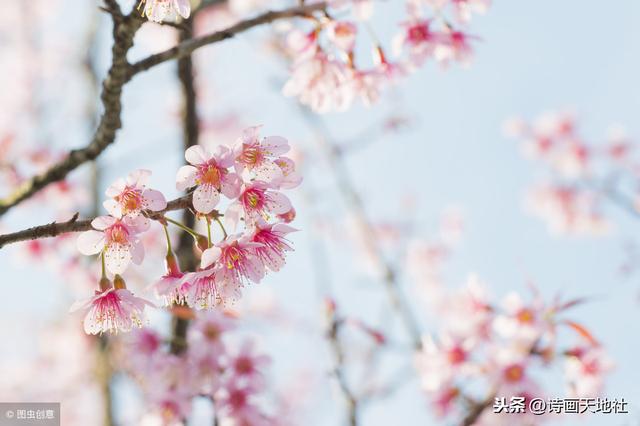 最有意境的诗词名句_http://www.zhaochafa.com_信息发布_第1张