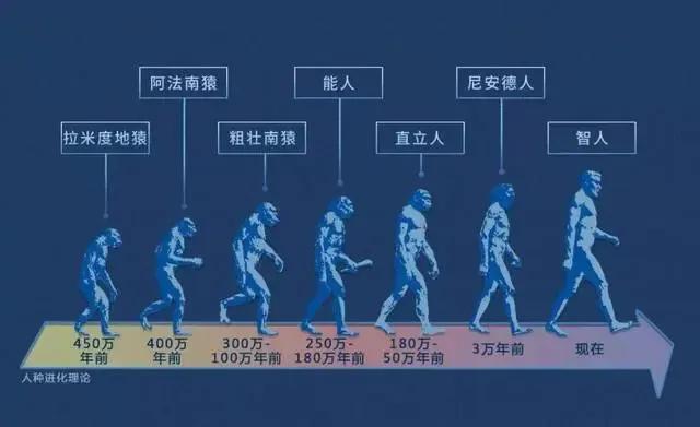 人类到底从何而来的_http://www.zhaochafa.com_信息发布_第1张