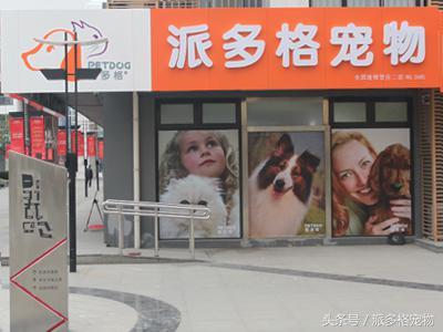 想开宠物美容店需要什么_http://www.zhaochafa.com_信息发布_第1张