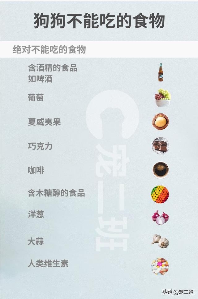 狗狗十种不能吃的食物_http://www.zhaochafa.com_信息发布_第1张