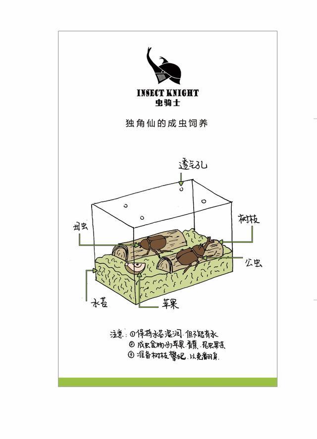 独角仙长大要多长时间_http://www.zhaochafa.com_信息发布_第1张