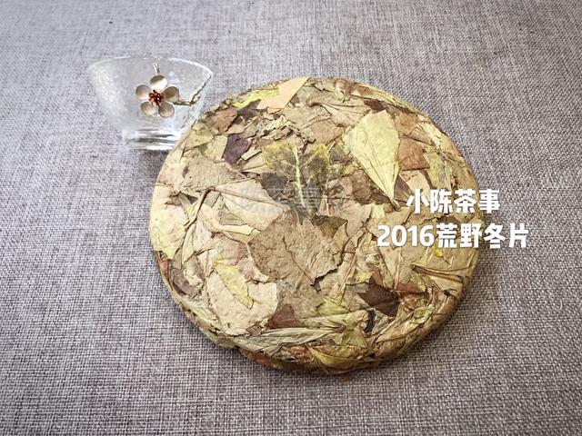 福鼎白茶茶饼的正确冲泡方法_http://www.zhaochafa.com_信息发布_第1张