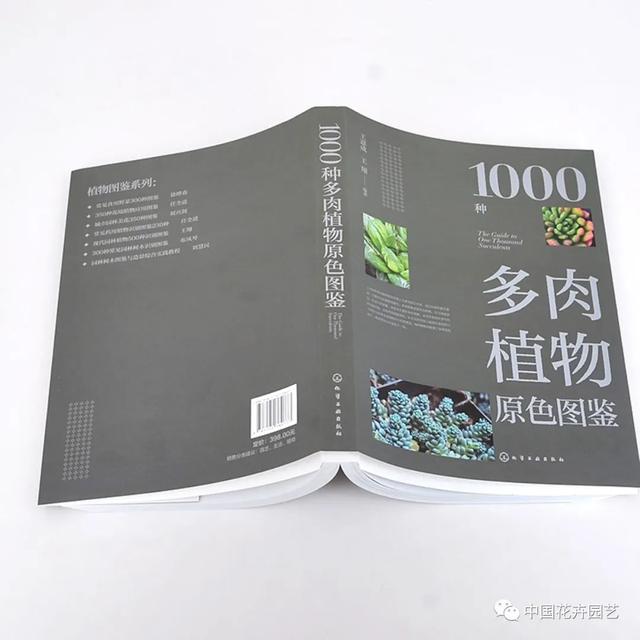 多肉植物图鉴1000种_http://www.zhaochafa.com_信息发布_第1张